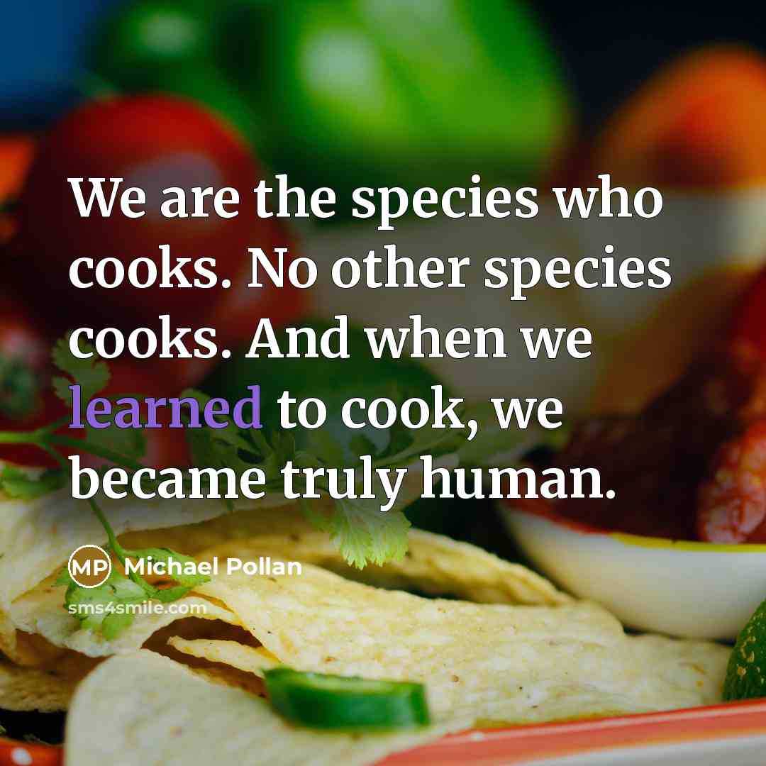 “We are the species who cooks. No other species cooks.…” quote by Michael Pollan