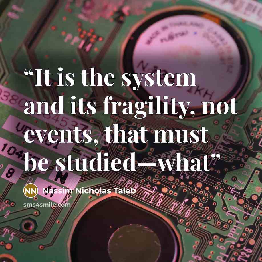 “It is the system and its fragility, not events, that must be studied—what” quote by Nassim Nicholas Taleb