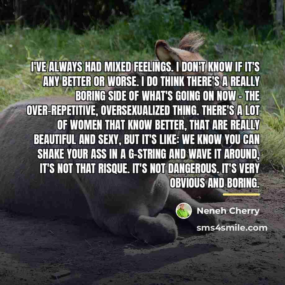 “I've always had mixed feelings. I don't know if it's…” quote by Neneh Cherry