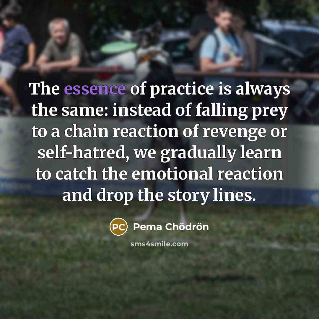 “The essence of practice is always the same: instead of…” quote by Pema Chodron