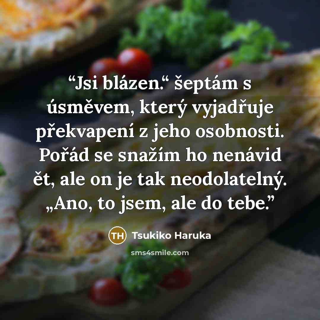 “Jsi blázen.“ šeptám s úsměvem, který vyjadřuje překvapení z jeho osobnosti. Pořád se snažím ho nenávid ět, ale on je tak neodolatelný. „Ano, to jsem, ale do tebe.” quote by Tsukiko Haruka
