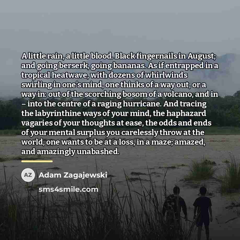 “A little rain, a little blood. Black fingernails in August;…” quote by Adam Zagajewski
