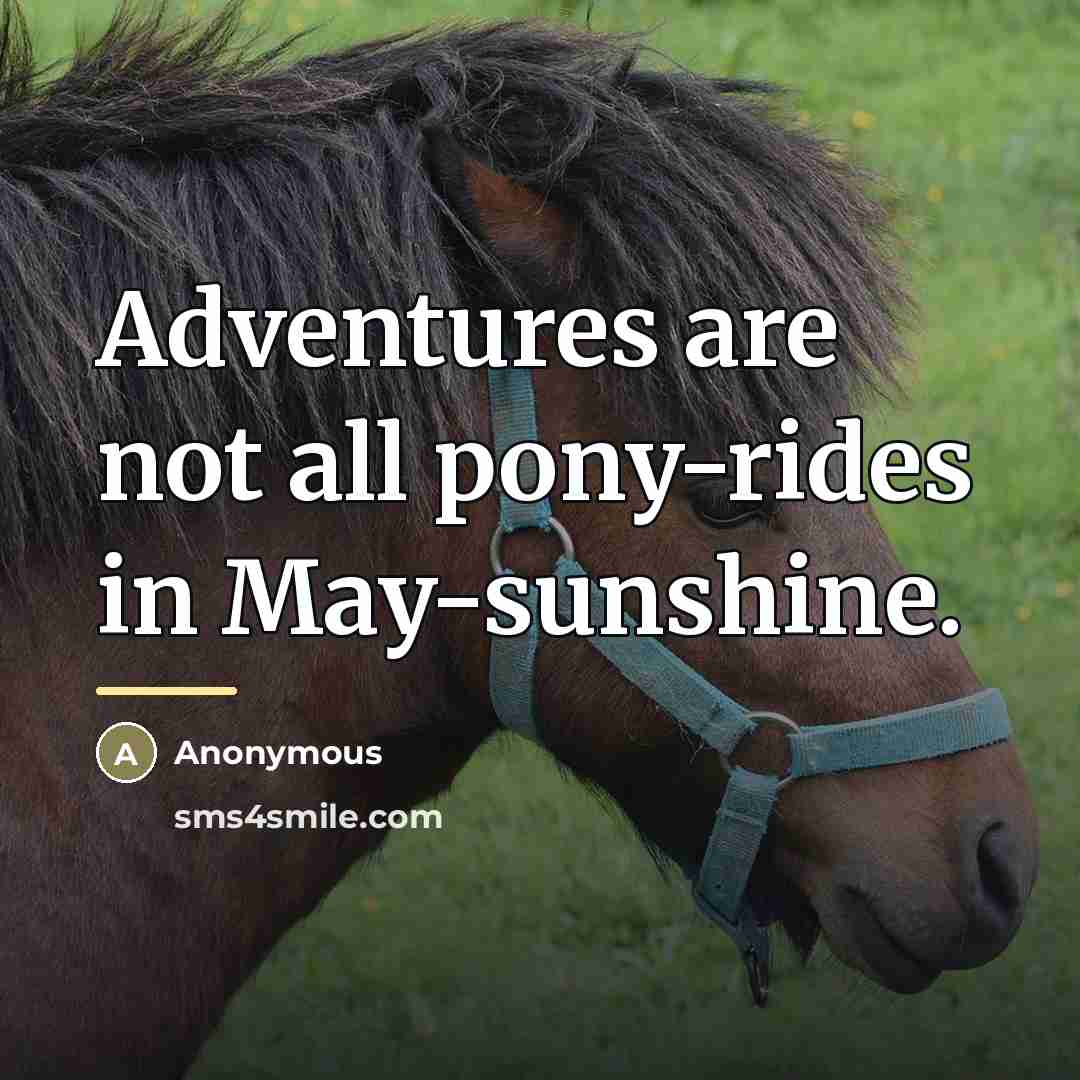 “Adventures are not all pony-rides in May-sunshine.…” quote by Anonymous