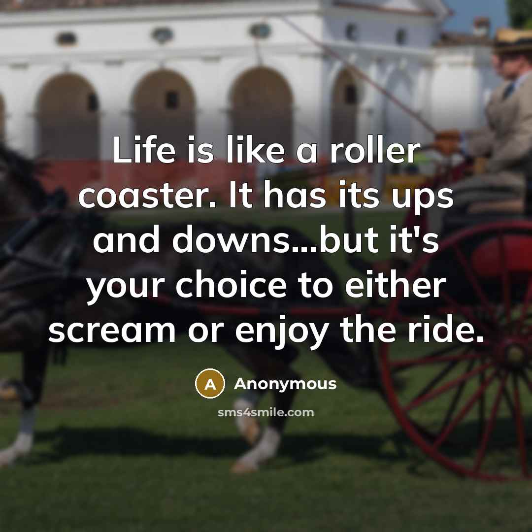 “Life is like a roller coaster. It has its ups and downs...but it's your choice to either scream or enjoy the ride.” quote by Anonymous
