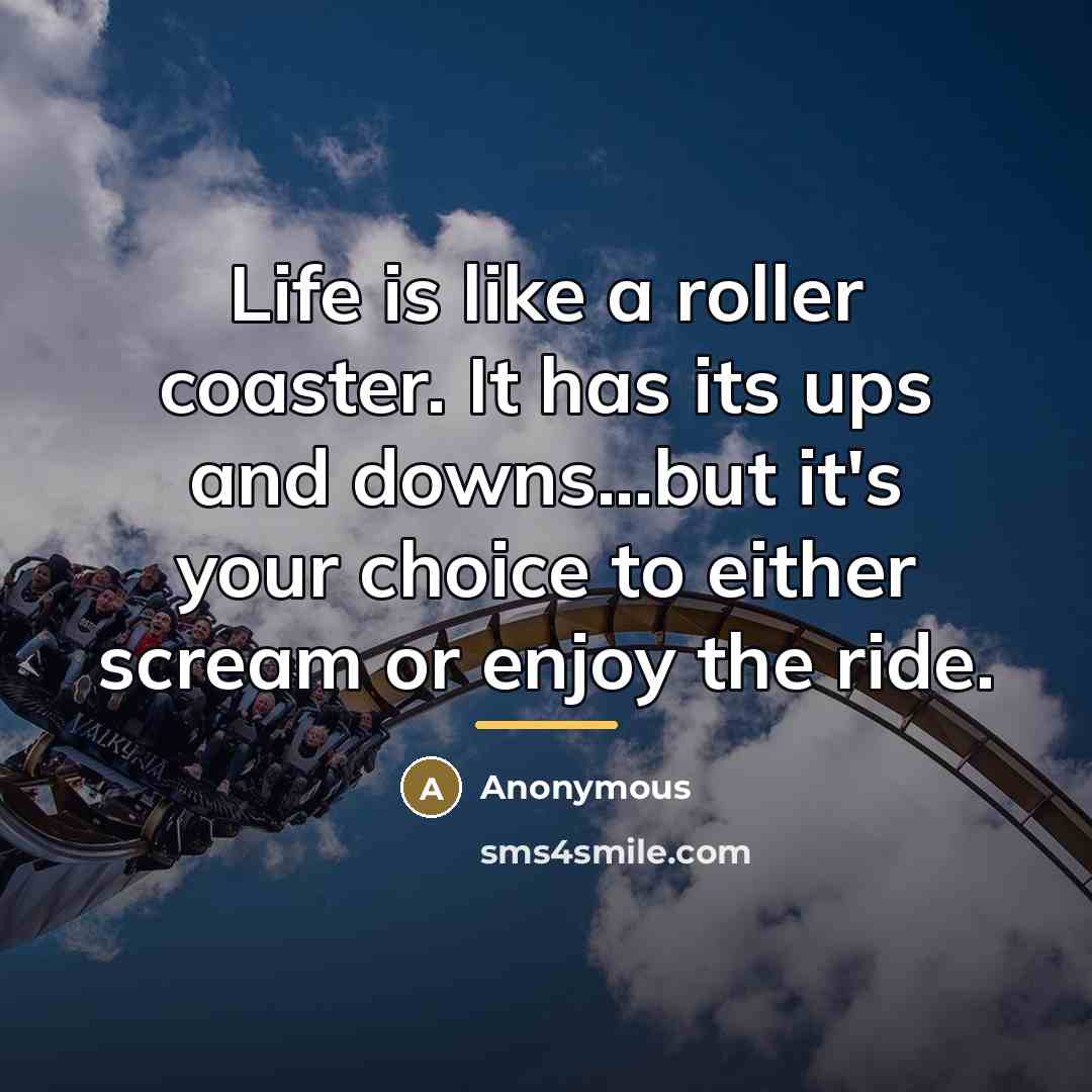 “Life is like a roller coaster. It has its ups…” quote by Anonymous