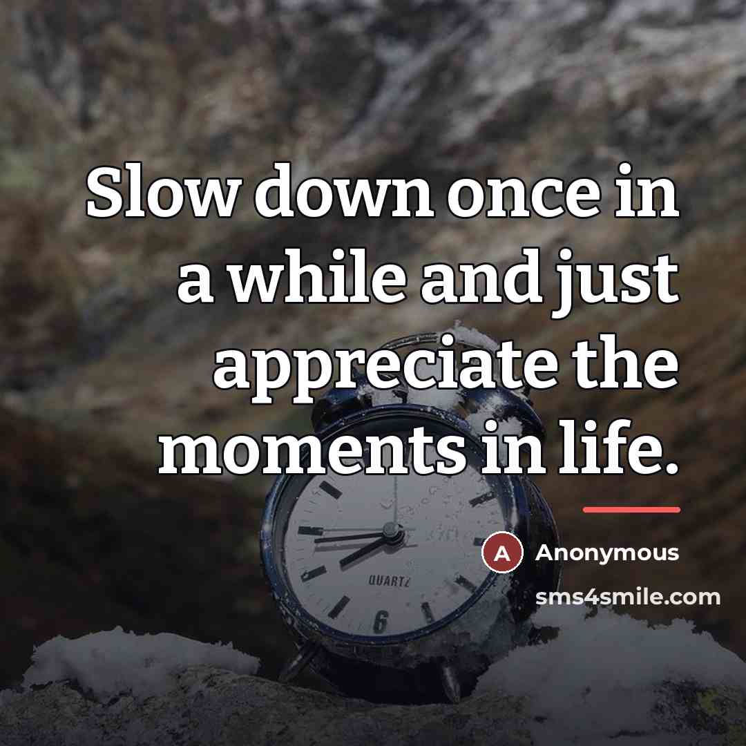 “Slow down once in a while and just appreciate the…” quote by Anonymous