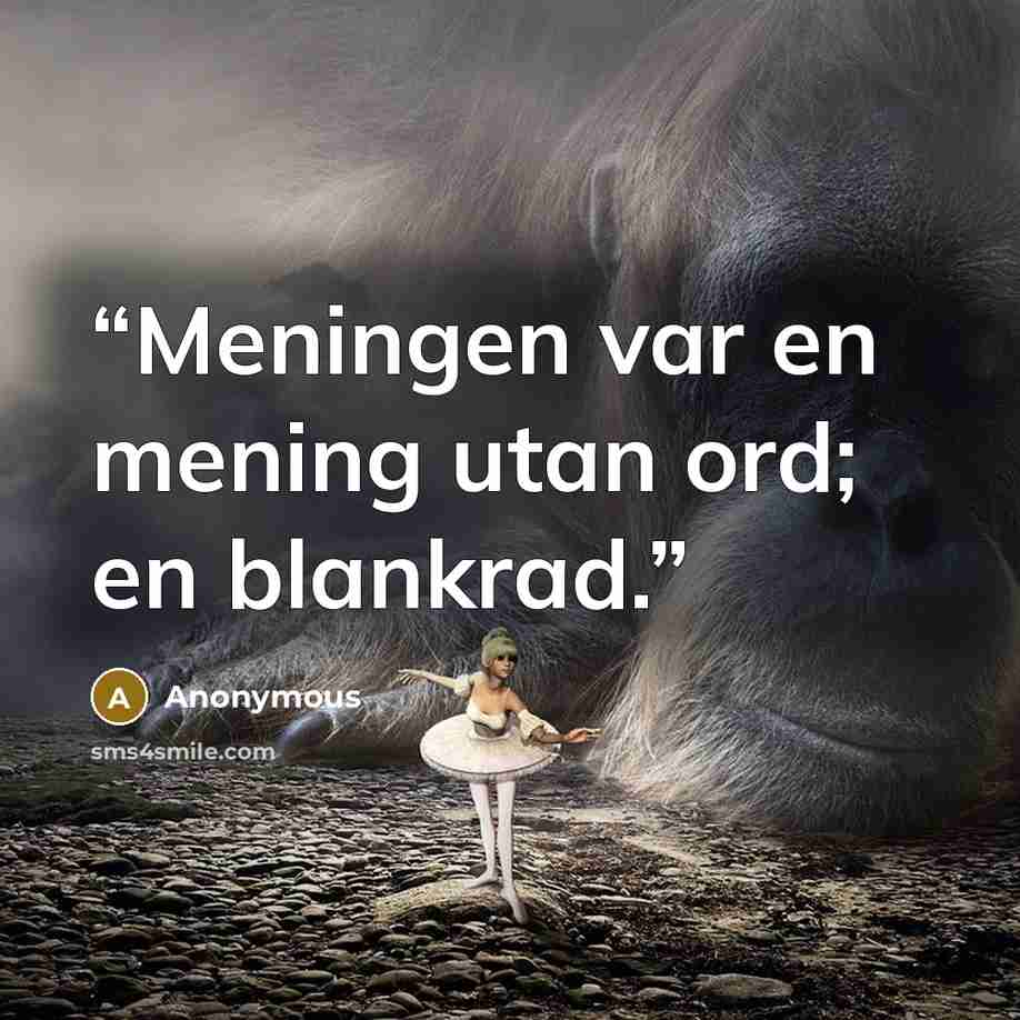 “Meningen var en mening utan ord; en blankrad.” quote by Anonymous
