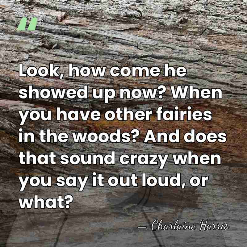 Look, how come he showed up now? When you have other fairies&hellip; - Charlaine Harris