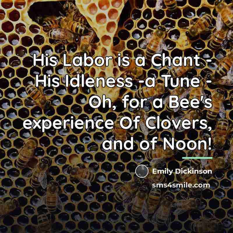 “His Labor is a Chant - His Idleness -a Tune…” quote by Emily Dickinson