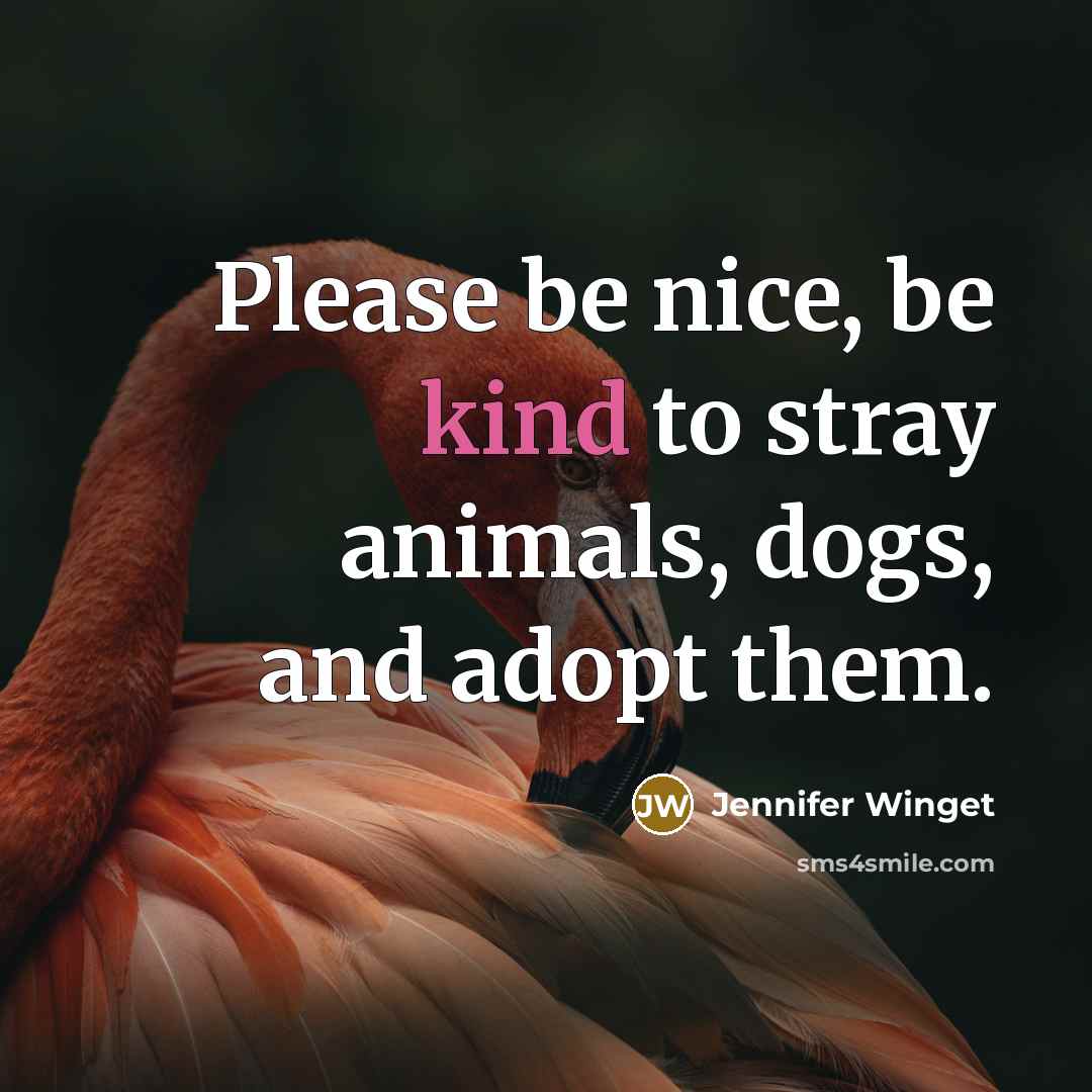 “Please be nice, be kind to stray animals, dogs, and adopt them.” quote by Jennifer Winget