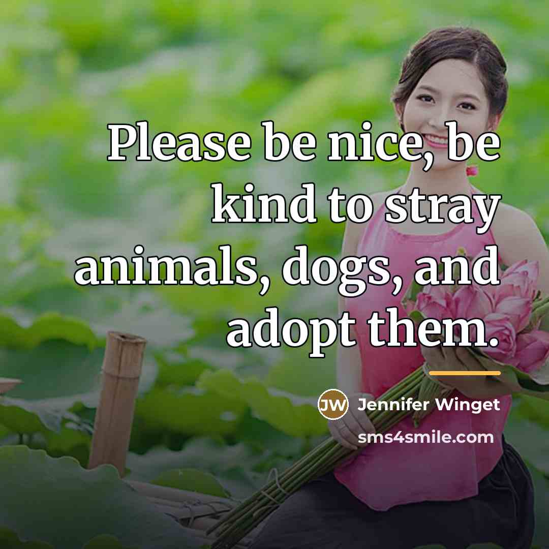 “Please be nice, be kind to stray animals, dogs, and…” quote by Jennifer Winget