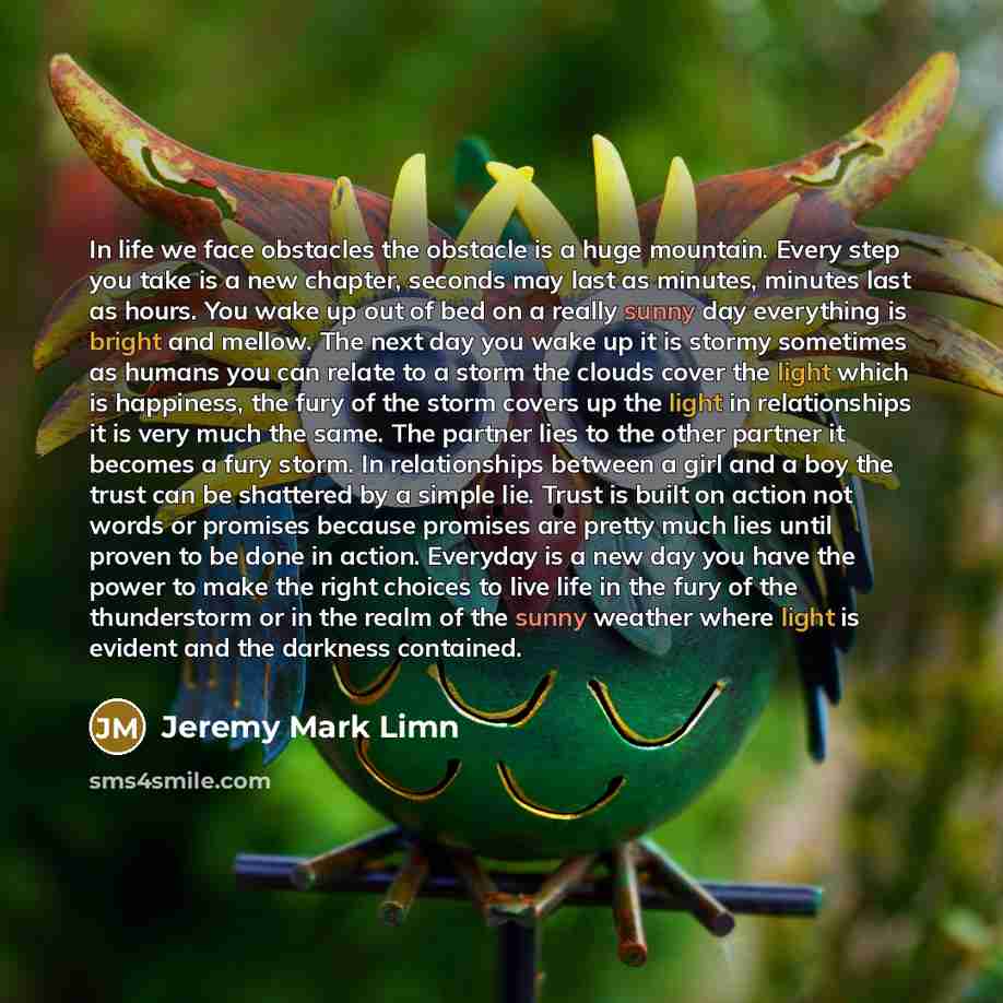 “In life we face obstacles the obstacle is a huge…” quote by Jeremy Mark Limn