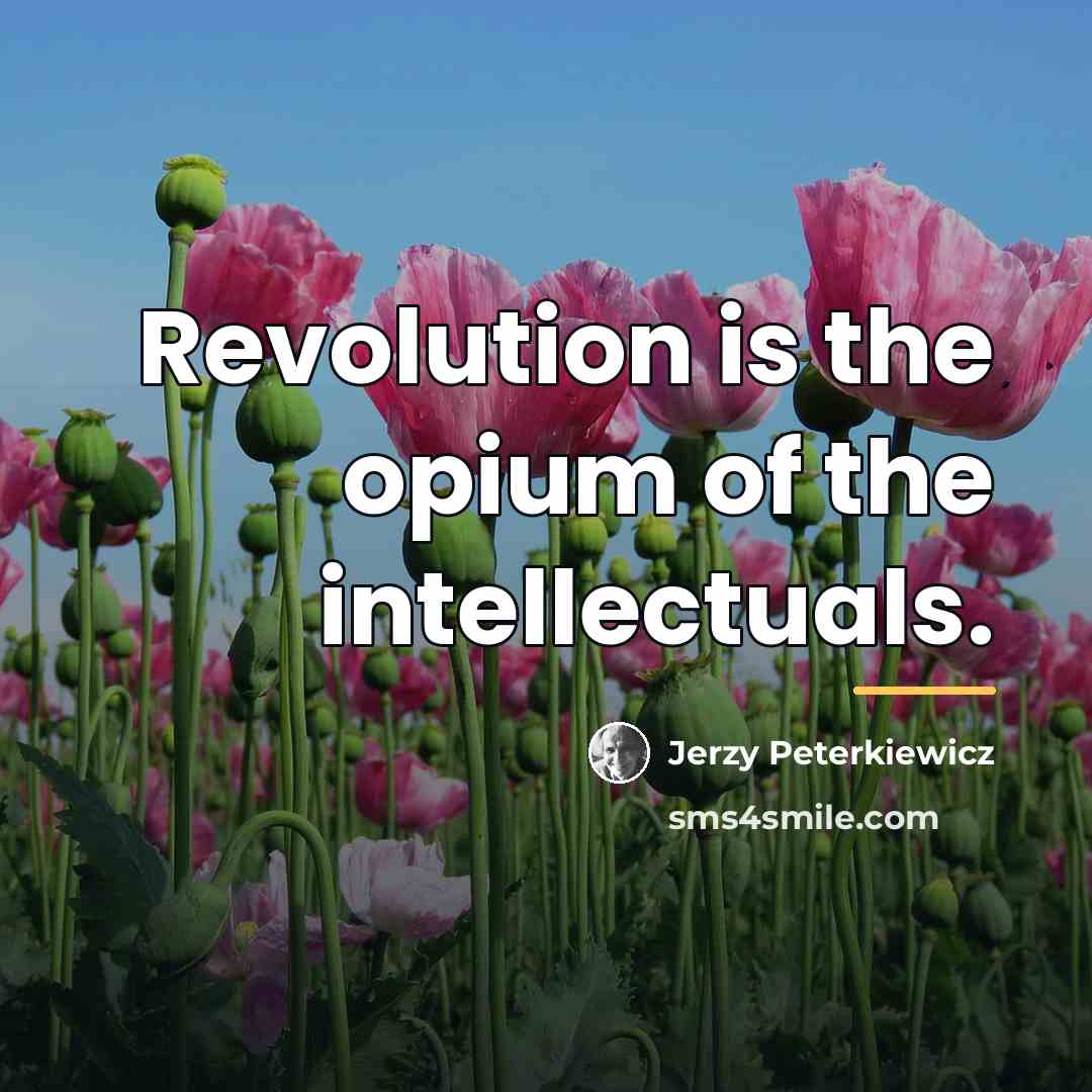 “Revolution is the opium of the intellectuals.…” quote by Jerzy Peterkiewicz