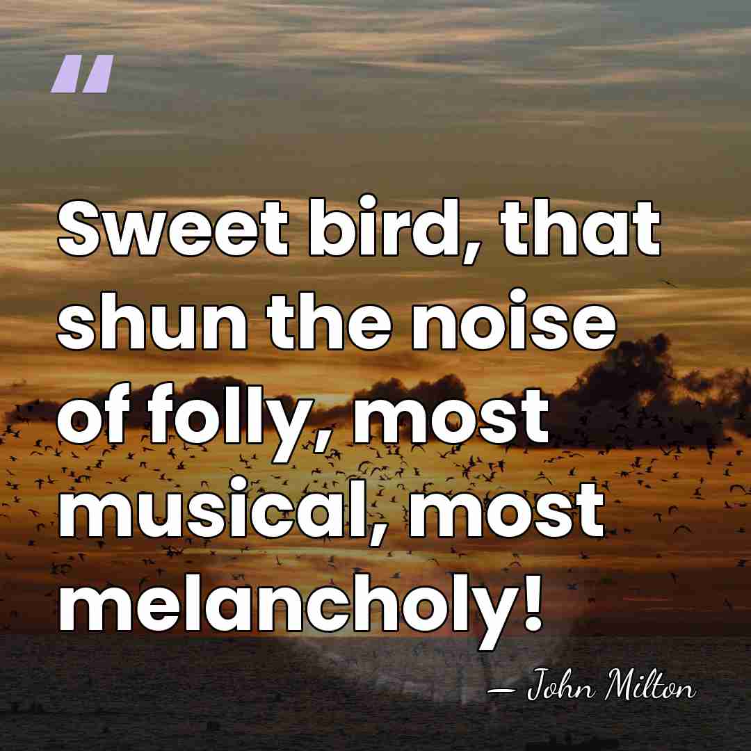 Sweet bird, that shun the noise of folly, most musical, most melancholy! - John Milton
