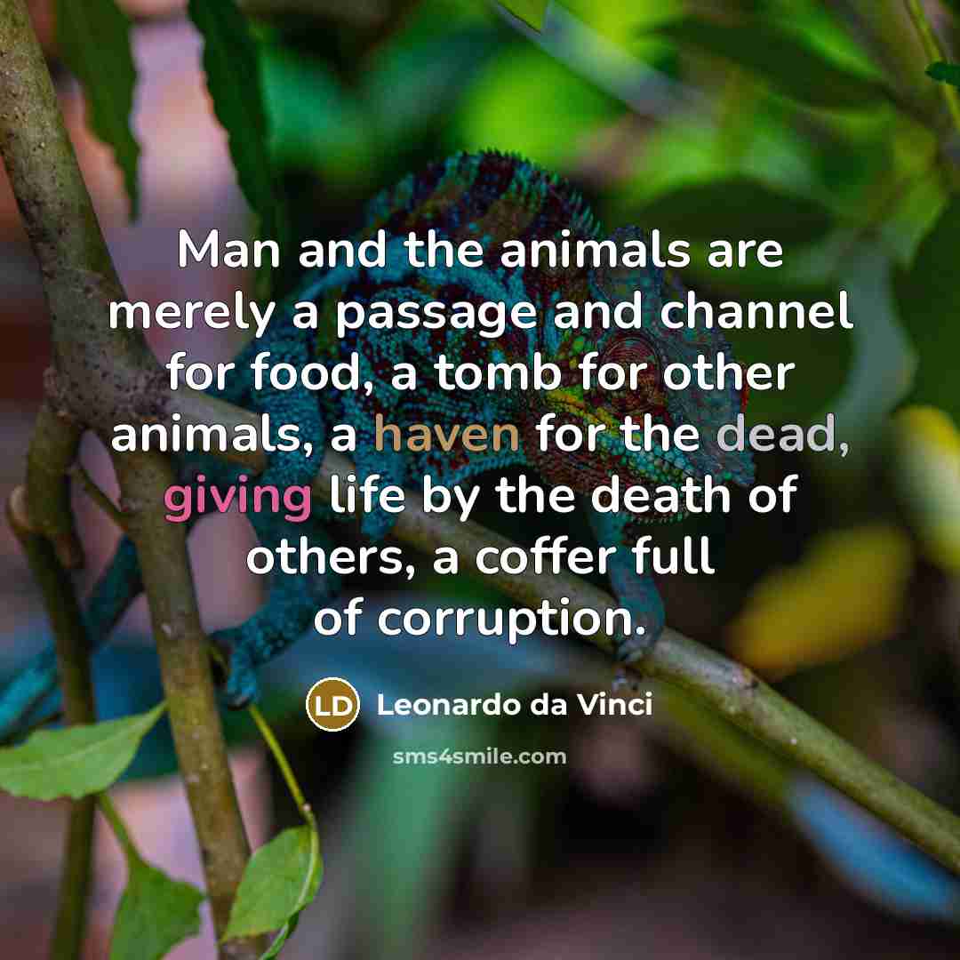 “Man and the animals are merely a passage and channel…” quote by Leonardo da Vinci