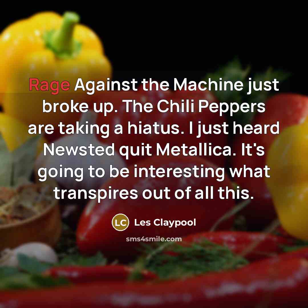“Rage Against the Machine just broke up. The Chili Peppers…” quote by Les Claypool