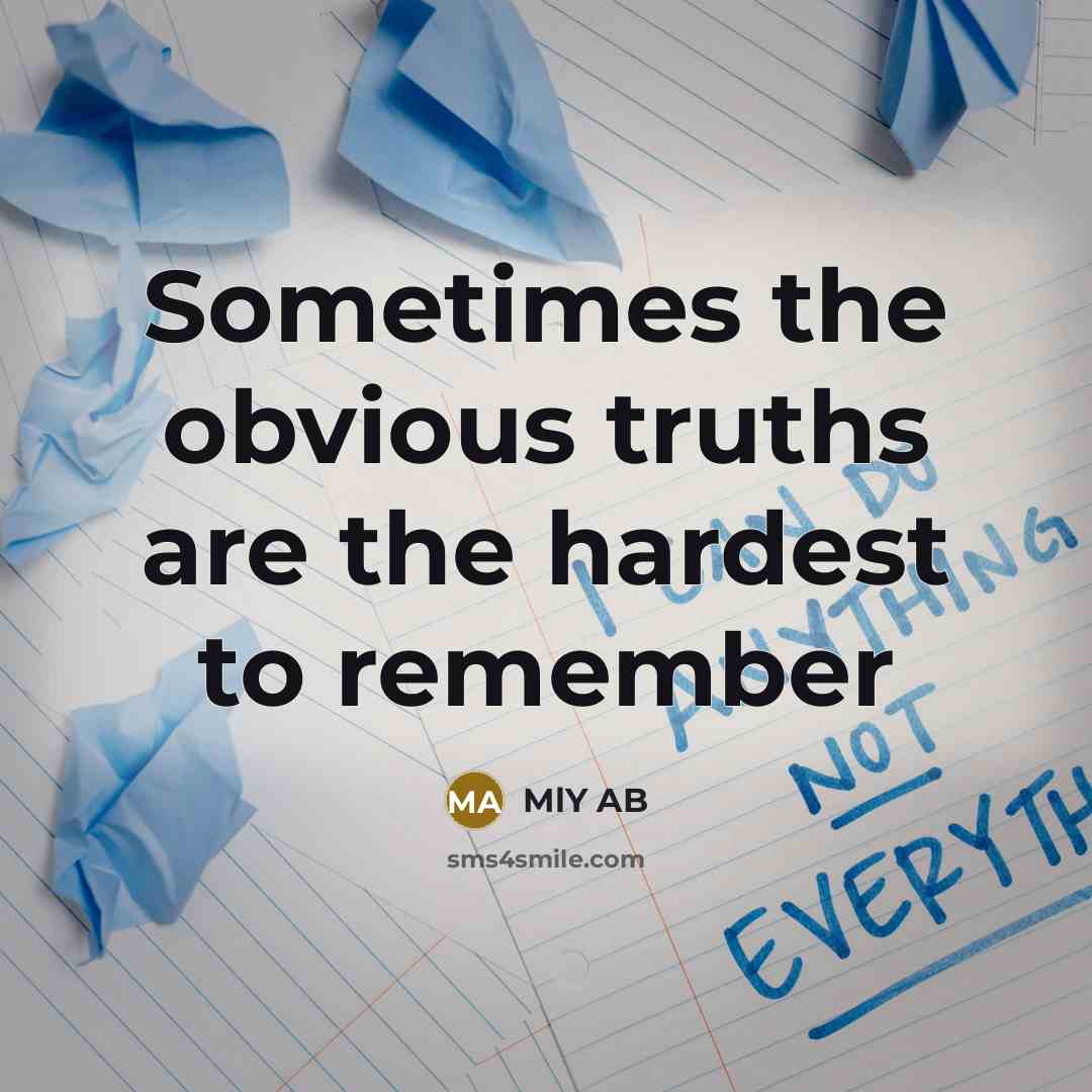 “Sometimes the obvious truths are the hardest to remember…” quote by MlY AB