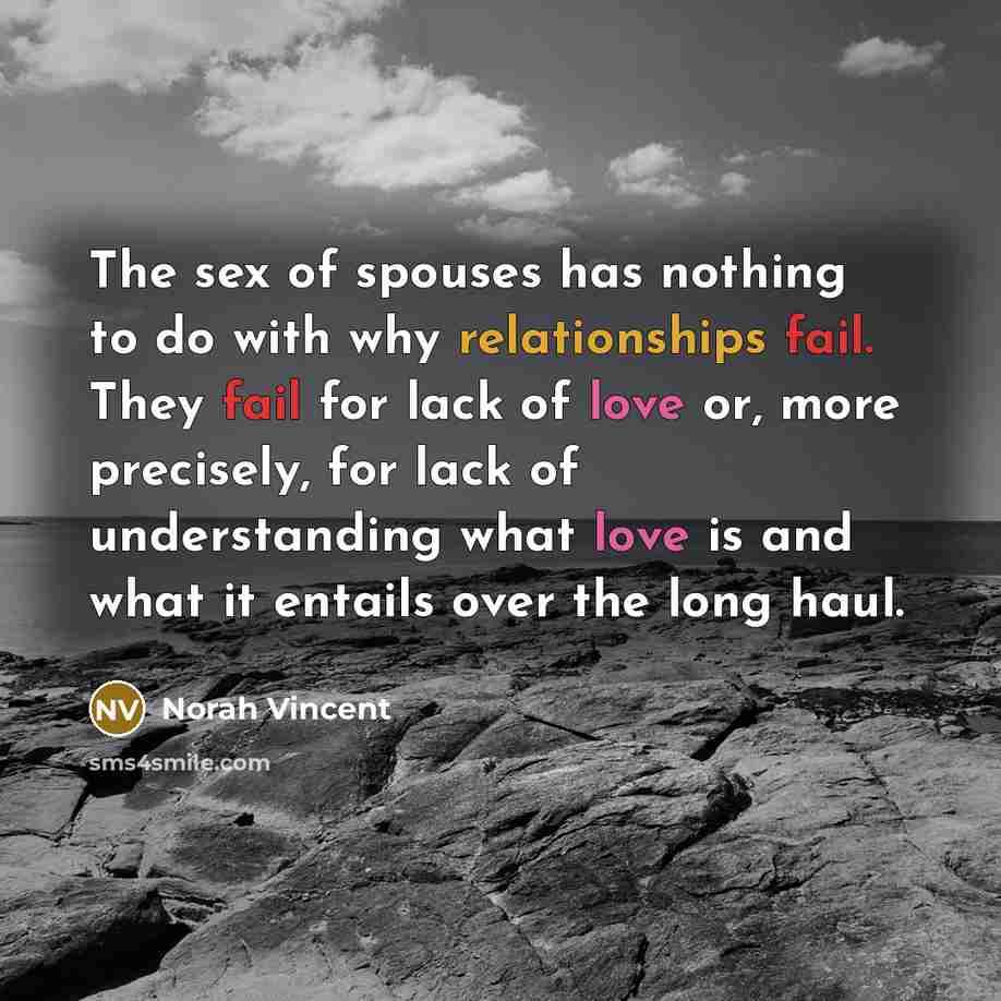 “The sex of spouses has nothing to do with why…” quote by Norah Vincent