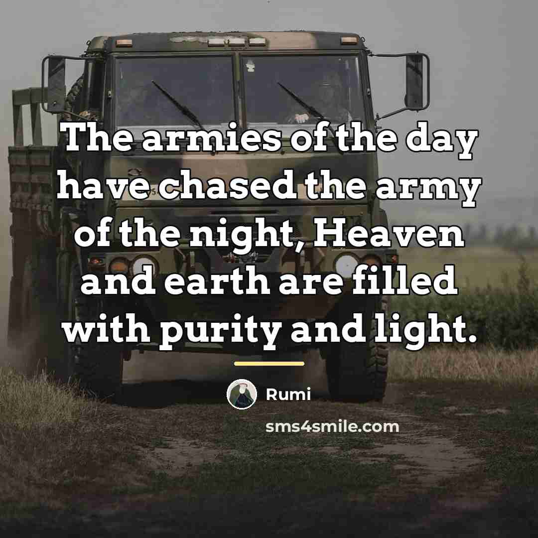 “The armies of the day have chased the army of…” quote by Rumi
