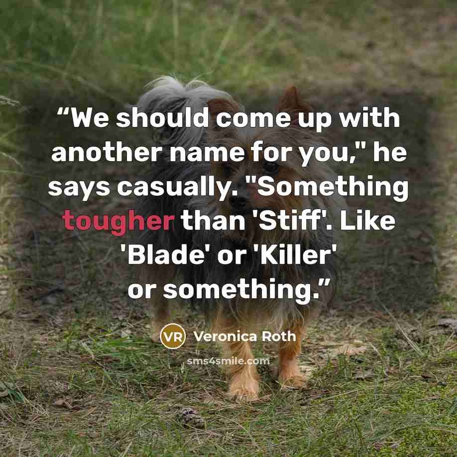 “We should come up with another name for you," he says casually. "Something tougher than 'Stiff'. Like 'Blade' or 'Killer' or something.” quote by Veronica Roth