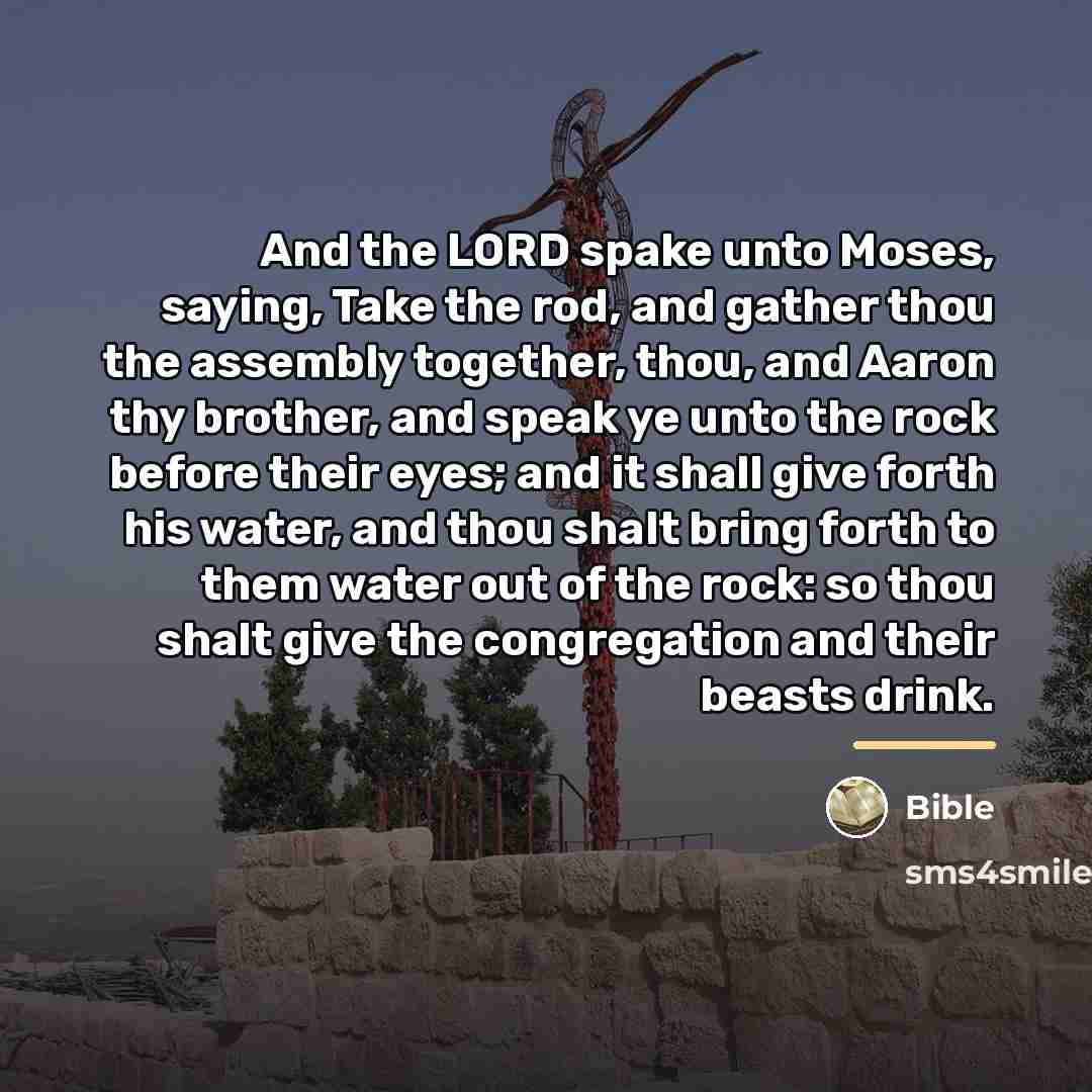 “And the LORD spake unto Moses, saying, Take the rod,…” quote by Bible