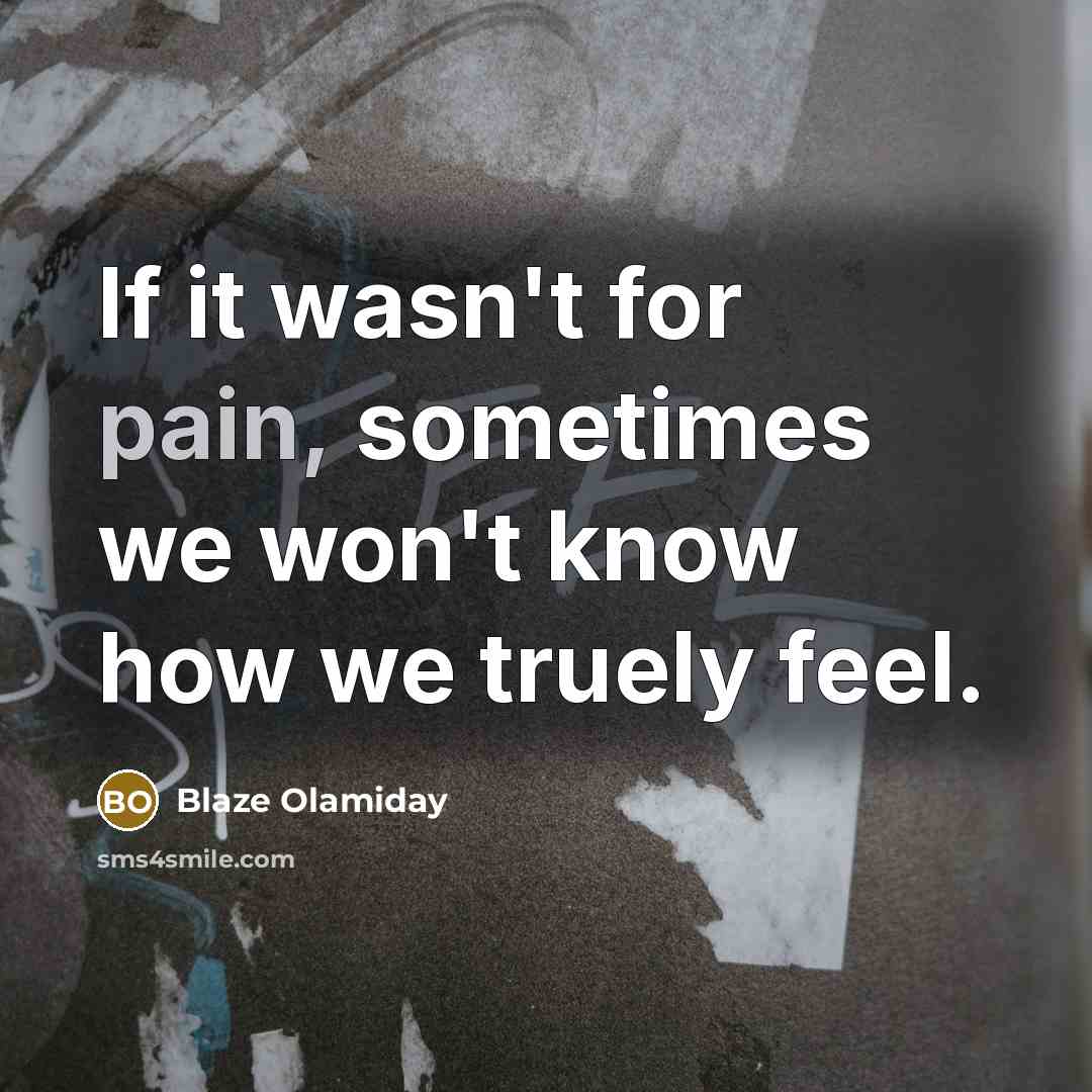 “If it wasn't for pain, sometimes we won't know how…” quote by Blaze Olamiday
