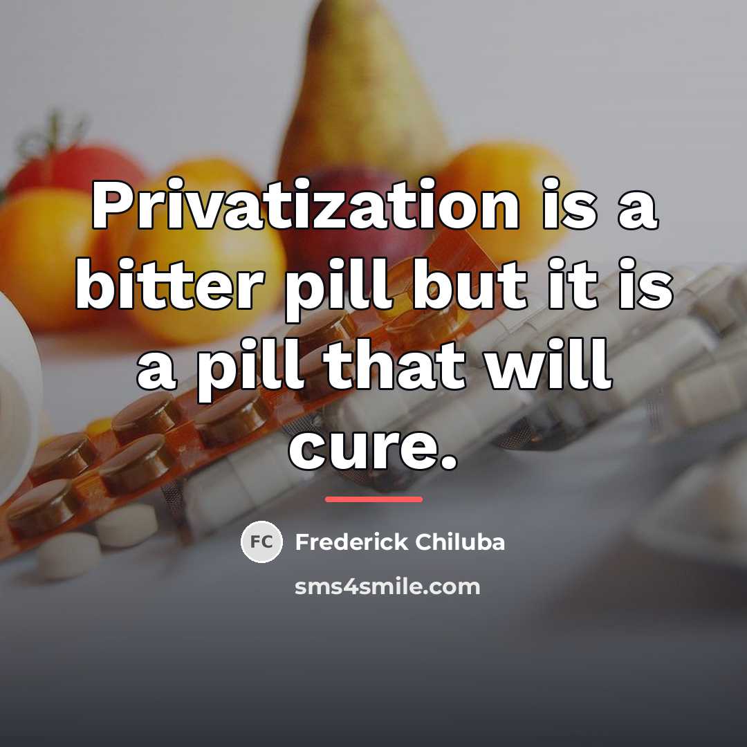 “Privatization is a bitter pill but it is a pill…” quote by Anonymous