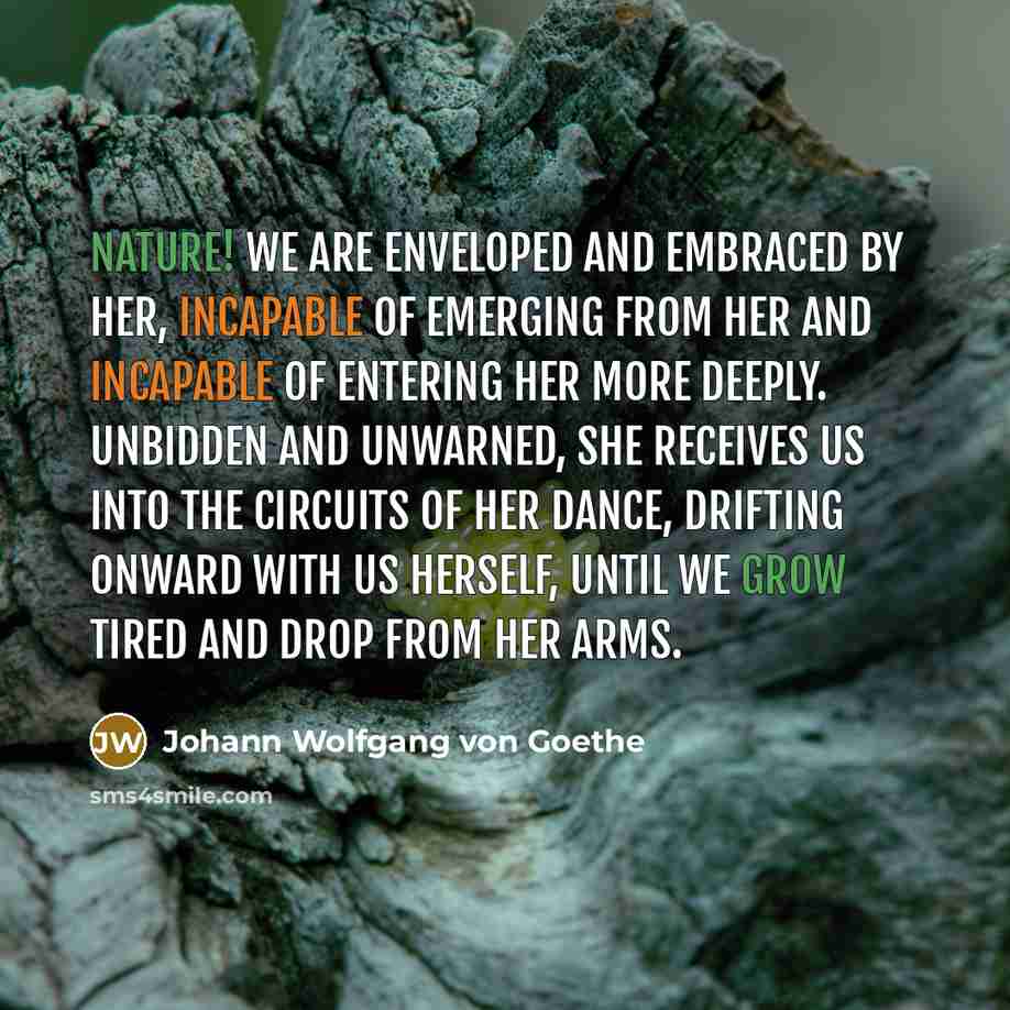 “Nature! We are enveloped and embraced by her, incapable of…” quote by Johann Wolfgang von Goethe
