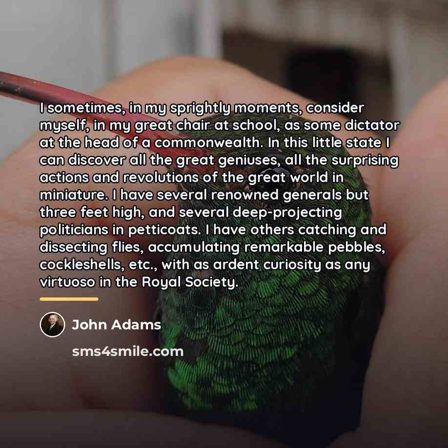 “I sometimes, in my sprightly moments, consider myself, in my…” quote by John Adams