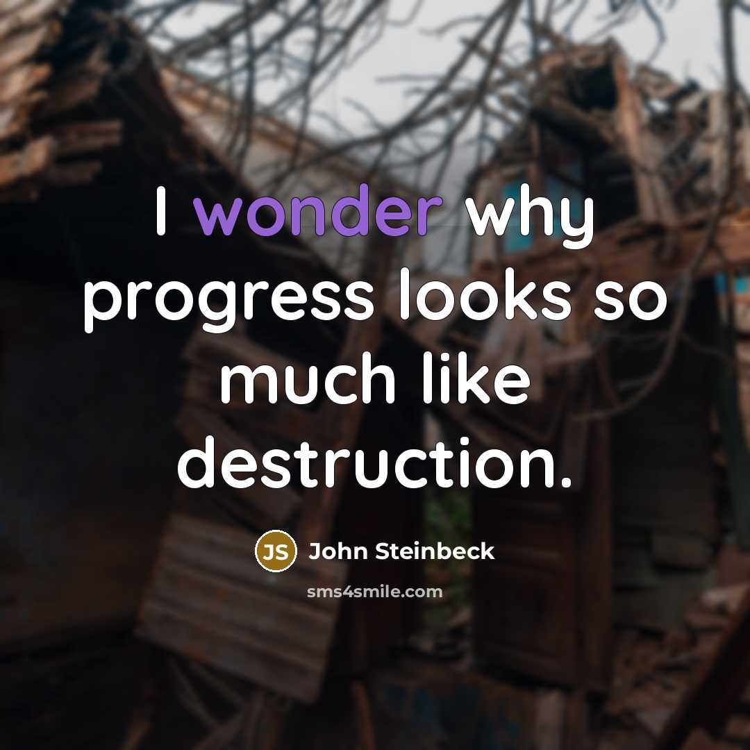 “I wonder why progress looks so much like destruction.…” quote by John Steinbeck