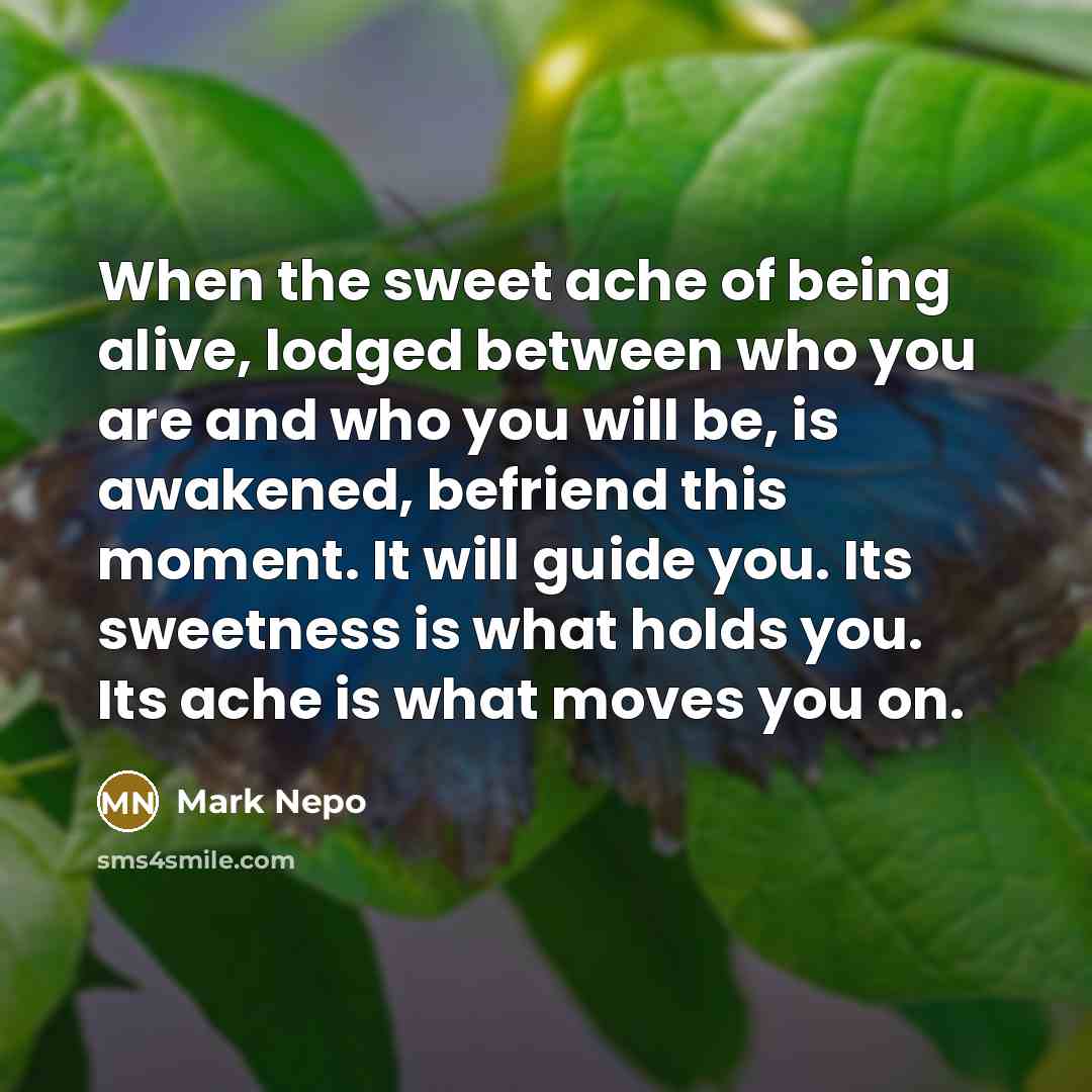 “When the sweet ache of being alive, lodged between who…” quote by Mark Nepo