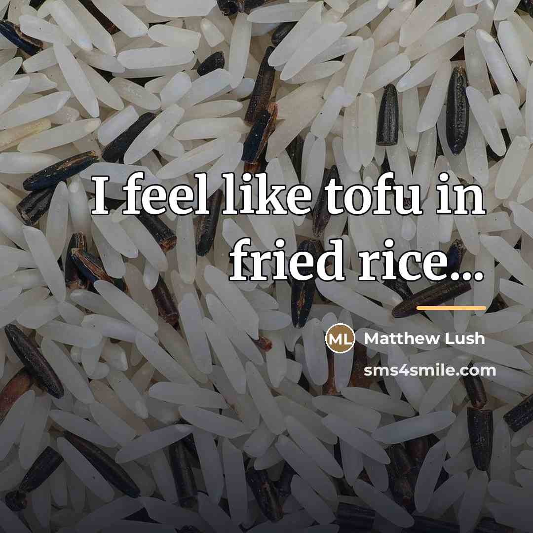 “I feel like tofu in fried rice...…” quote by Matthew Lush