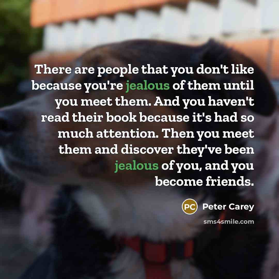 “There are people that you don't like because you're jealous…” quote by Peter Carey