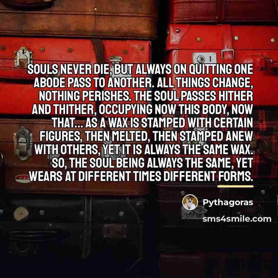 “Souls never die, but always on quitting one abode pass…” quote by Pythagoras