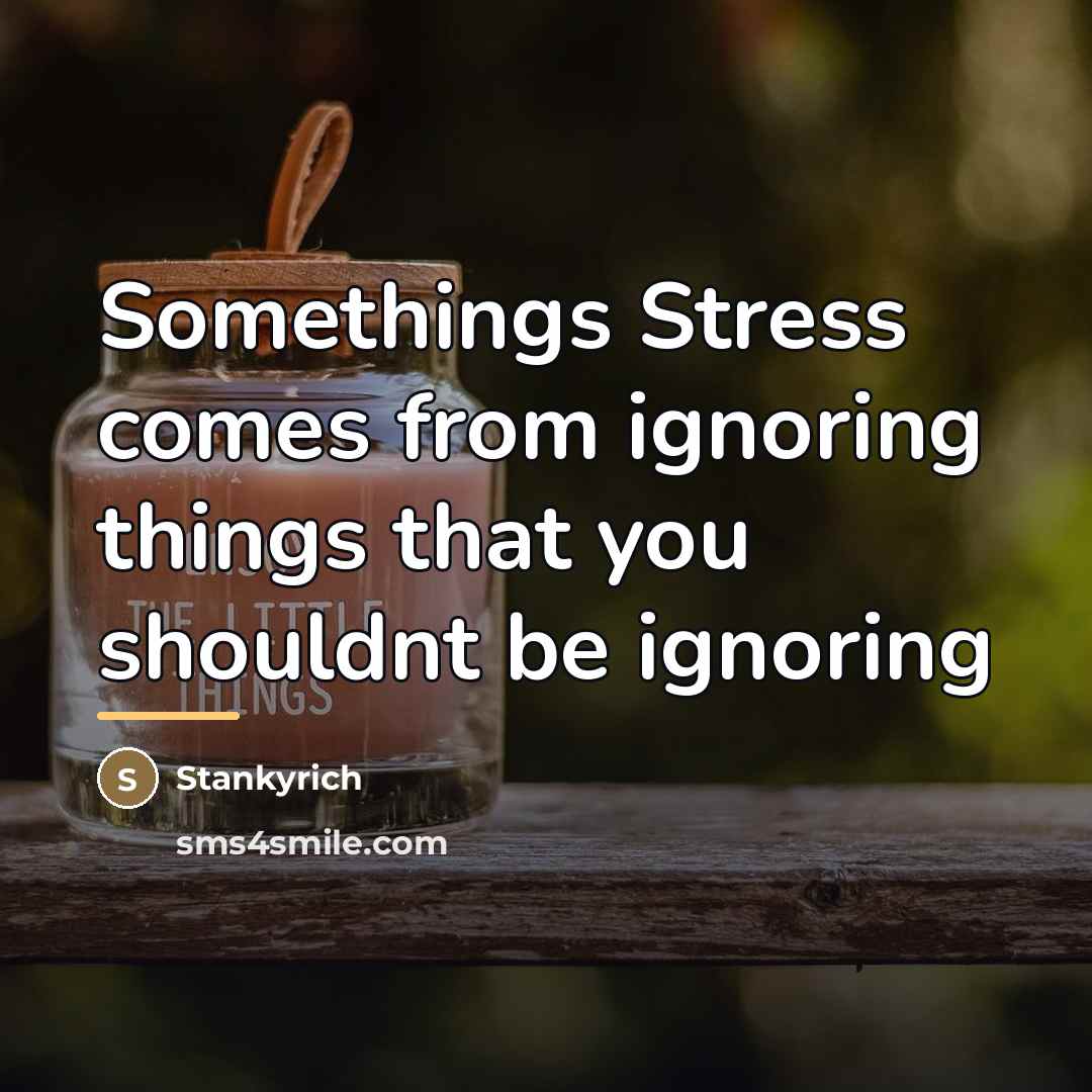 “Somethings Stress comes from ignoring things that you shouldnt be…” quote by Stankyrich