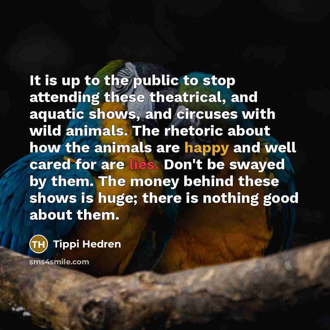 “It is up to the public to stop attending these…” quote by Tippi Hedren