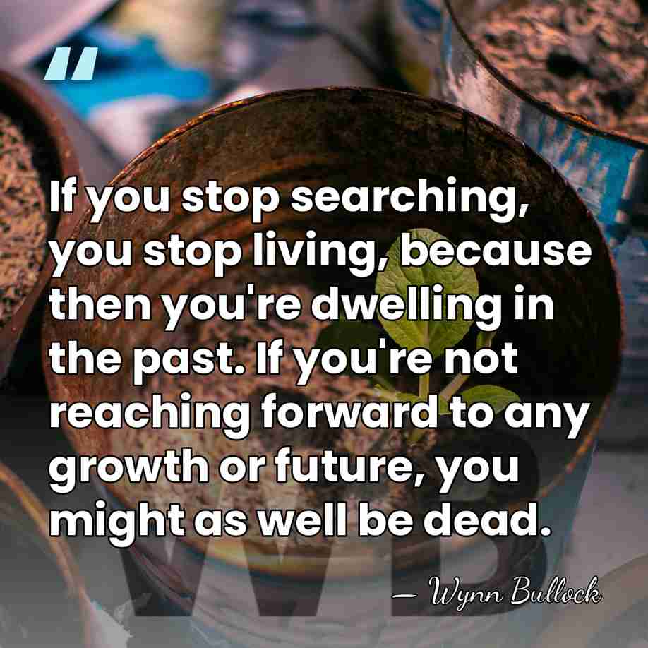 If you stop searching, you stop living, because then you're dwelling in&hellip; - Wynn Bullock