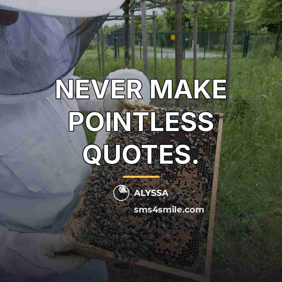 “NEVER MAKE POINTLESS QUOTES.…” quote by ALYSSA