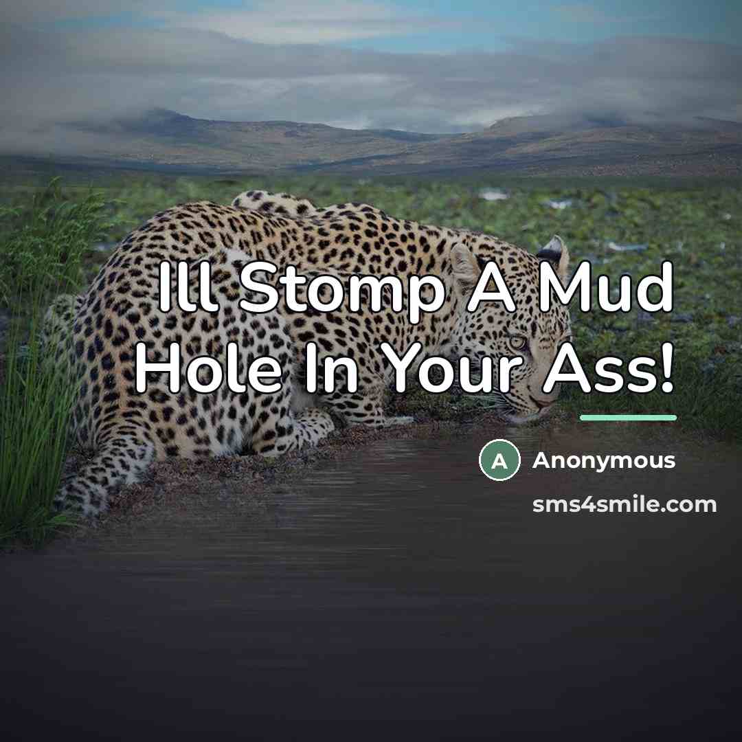 “Ill Stomp A Mud Hole In Your Ass!…” quote by Anonymous