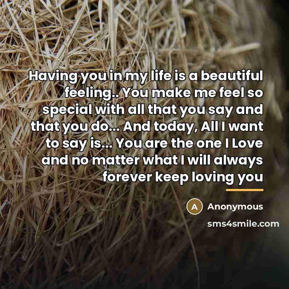 “Having you in my life is a beautiful feeling.. You…” quote by Anonymous