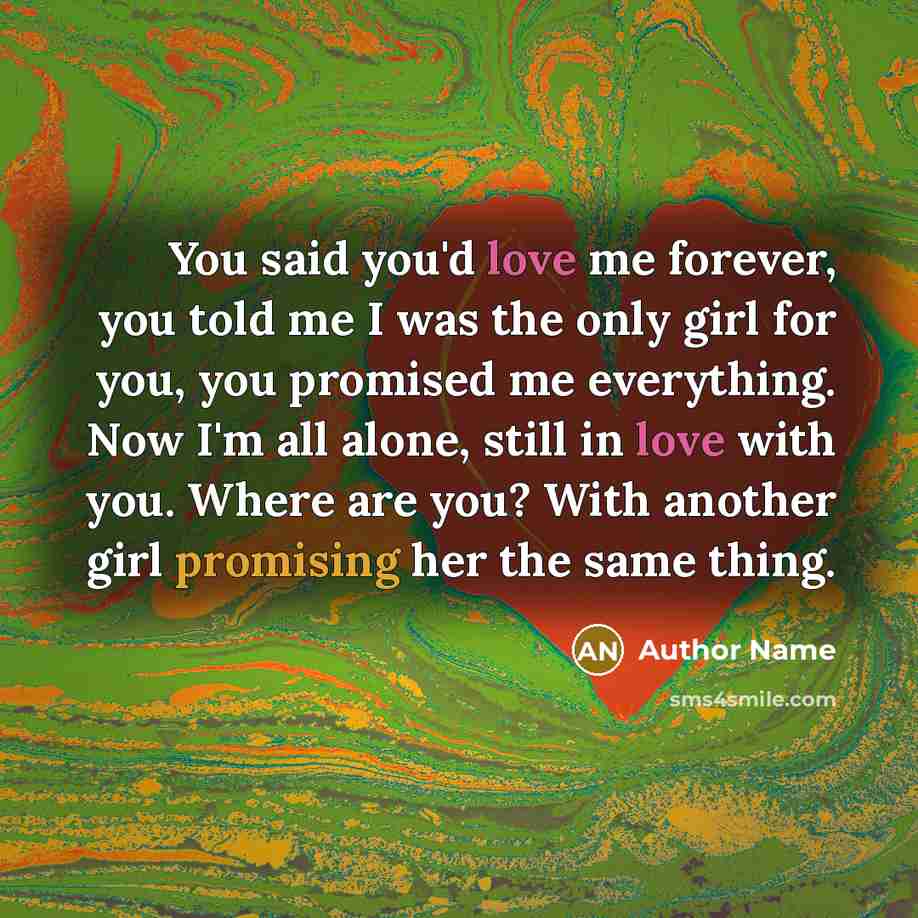 “You said you'd love me forever, you told me I…” quote by Author Name