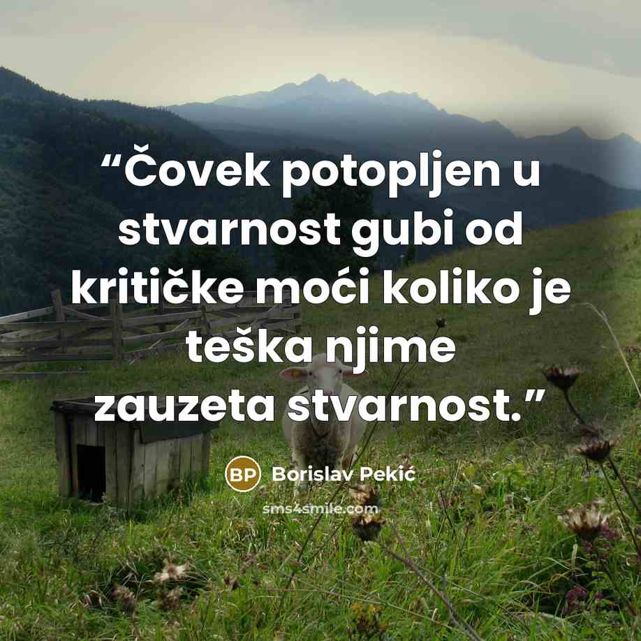 “Čovek potopljen u stvarnost gubi od kritičke moći koliko je teška njime zauzeta stvarnost.” quote by Borislav Pekić