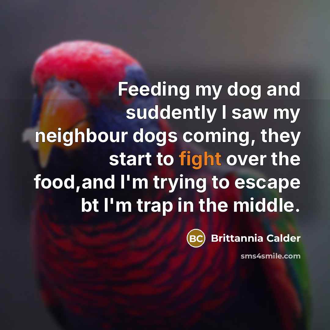 “Feeding my dog and suddently I saw my neighbour dogs coming, they start to fight over the food,and I'm trying to escape bt I'm trap in the middle.” quote by Brittannia Calder