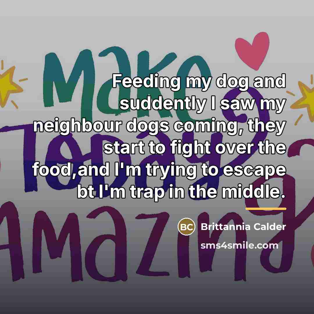 “Feeding my dog and suddently I saw my neighbour dogs…” quote by Brittannia Calder