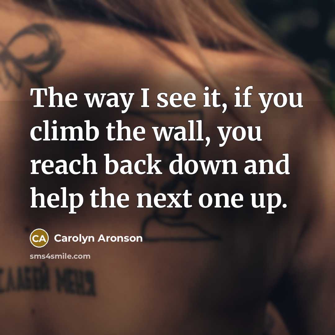 “The way I see it, if you climb the wall,…” quote by Carolyn Aronson