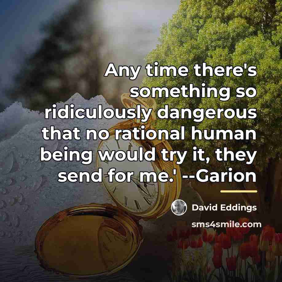 “Any time there's something so ridiculously dangerous that no rational…” quote by David Eddings