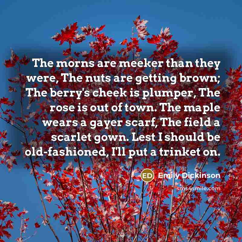 “The morns are meeker than they were, The nuts are…” quote by Emily Dickinson