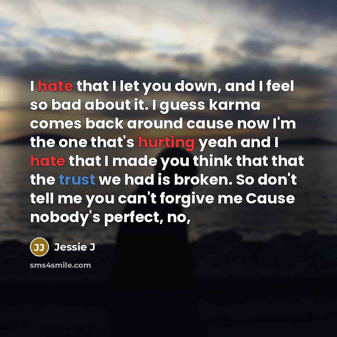 “I hate that I let you down, and I feel so bad about it. I guess karma comes back around cause now I'm the one that's hurting yeah and I hate that I made you think that that the trust we had is broken. So don't tell me you can't forgive me Cause nobody's perfect, no,” quote by Jessie J
