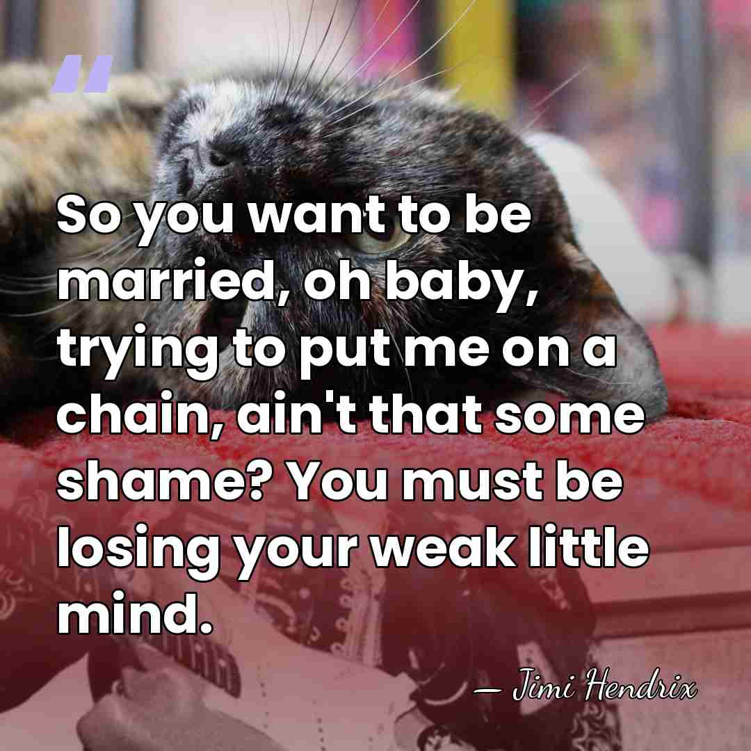 So you want to be married, oh baby, trying to put me&hellip; - Jimi Hendrix