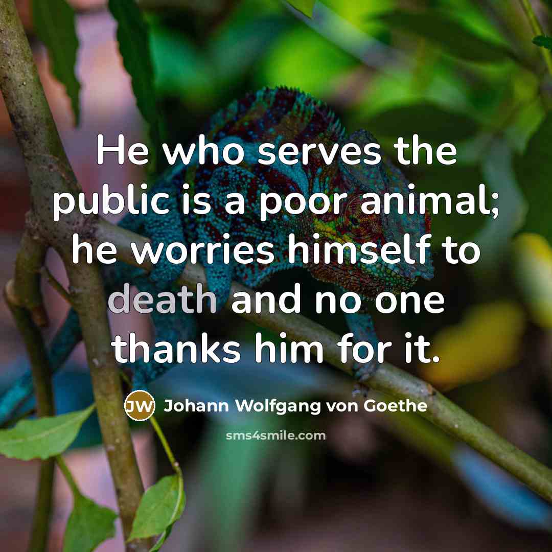“He who serves the public is a poor animal; he…” quote by Johann Wolfgang von Goethe